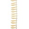 Crystal Lane DIY Glass Garden 9x25mm Long Leaf Bead Strand, 19pcs